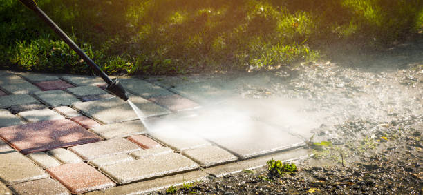Best Animal Enclosure Cleaning  in Fox Chase, PA